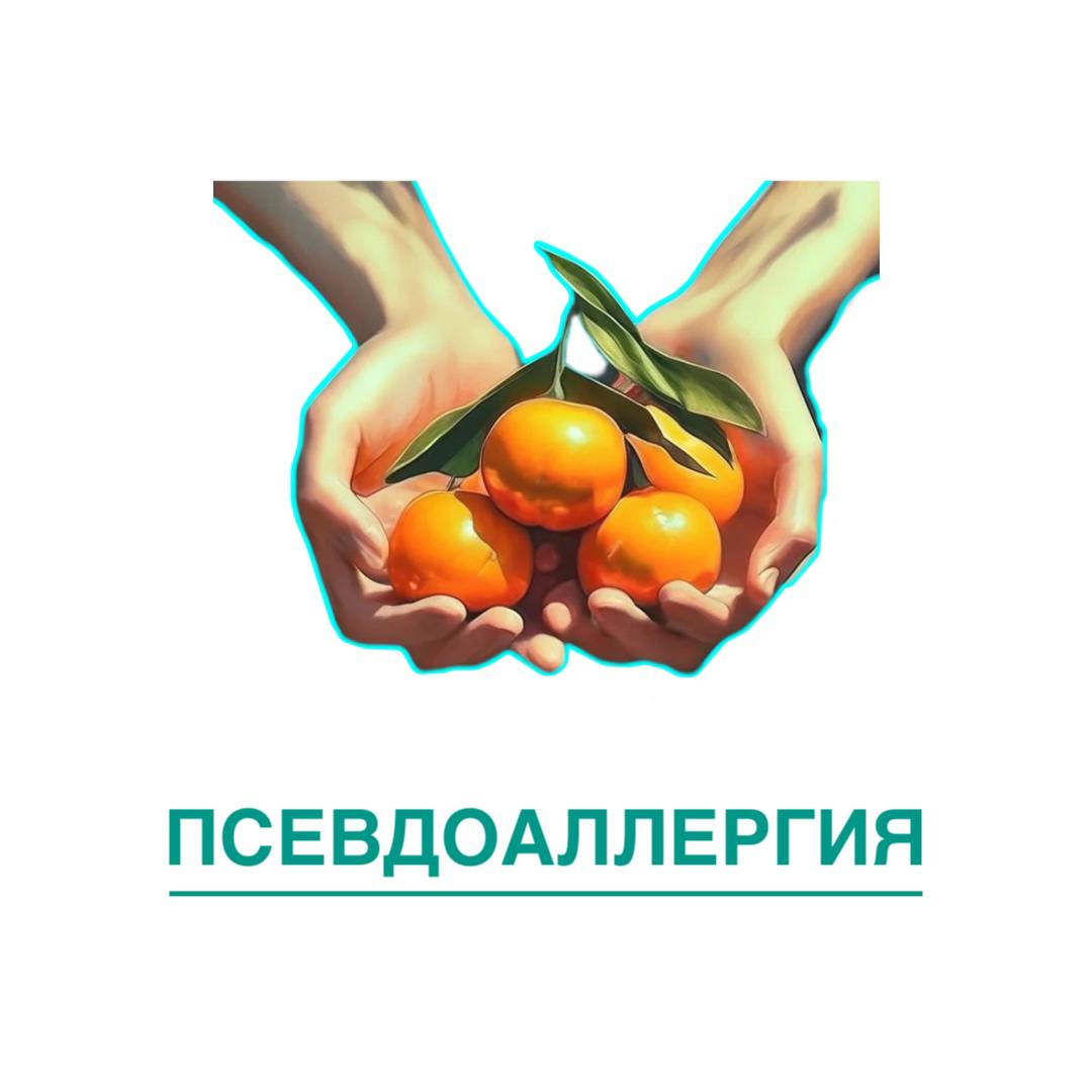 Иллюстрация: сложенные ладони держат мандарины с веточкой, внизу подпись «Псевдоаллергия»