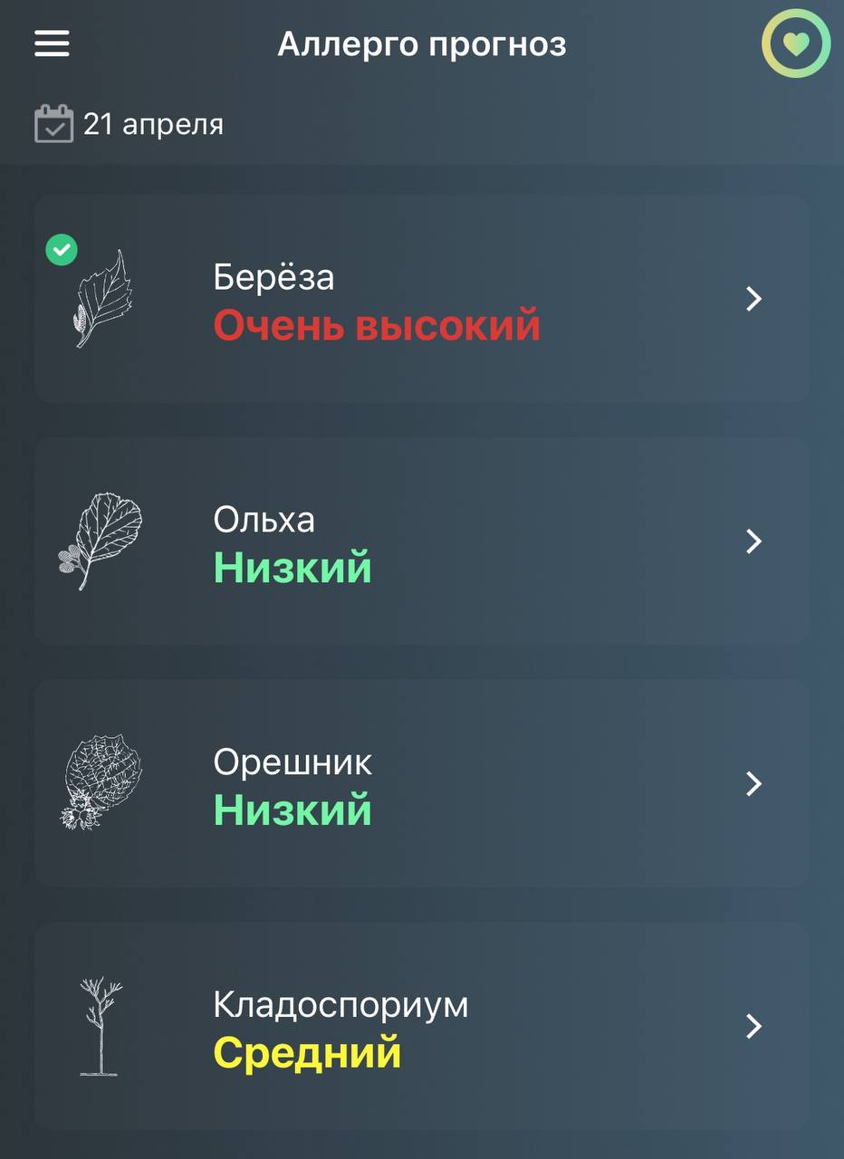 Скриншот приложения «Аллерго прогноз» на 21 апреля: пыльца берёзы — очень высокий уровень, ольхи и орешника — низкий, споры кладоспориума — средний